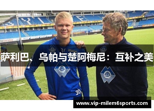 萨利巴、乌帕与楚阿梅尼：互补之美